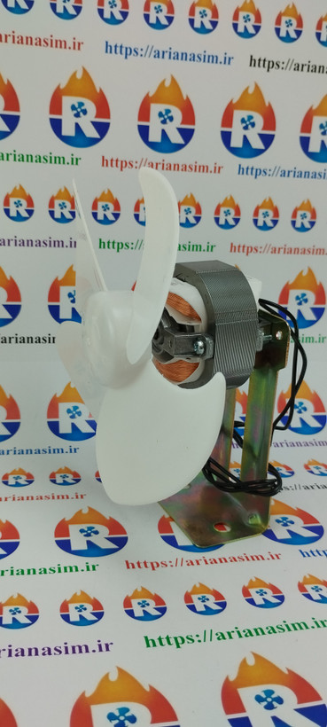 جویا فن